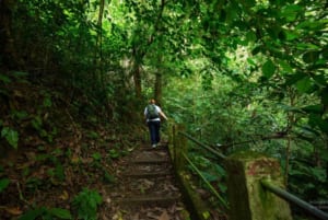 tour du lịch ninh bình dịp tết