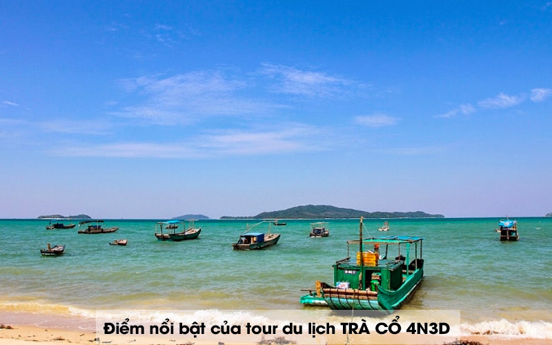 Điểm nổi bật của Tour Trà Cổ 4N3D