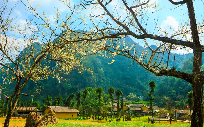 Canh sac thien nhien cua lang van hoa Lung Cam