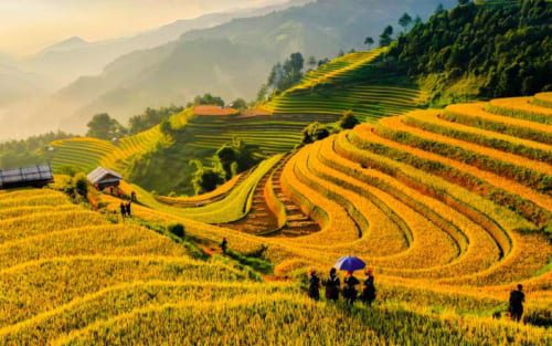 Khám phá Tour Mù Cang Chải Sapa 4 ngày 3 đêm