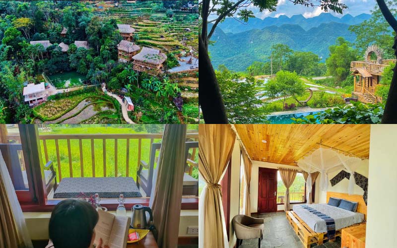 Resort Jungle Lodge với view núi rừng kỳ vĩ