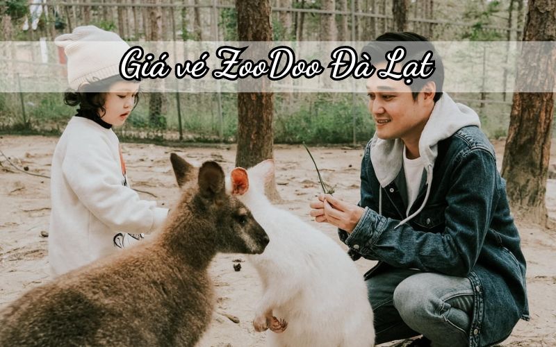 Giá vé ZooDoo Đà Lạt