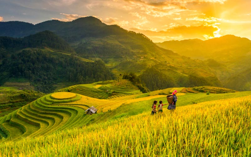 kinh nghiem du lich mu cang chai tan huong canh dep