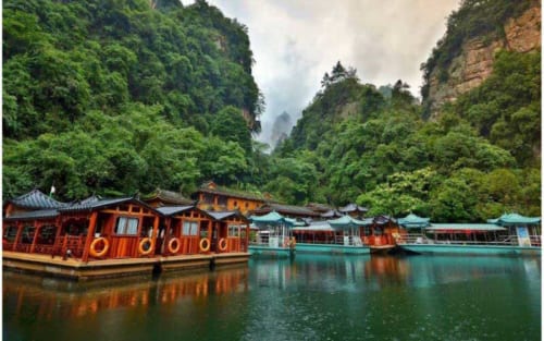 Hồ Bảo Phong Trương Gia Giới