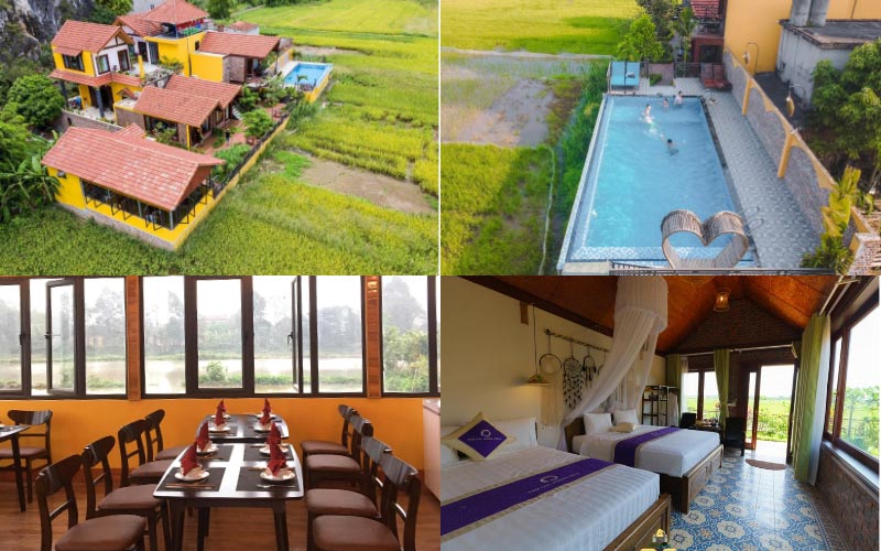 Khách sạn view đồng ruộng Tam Cốc Papaya Villa